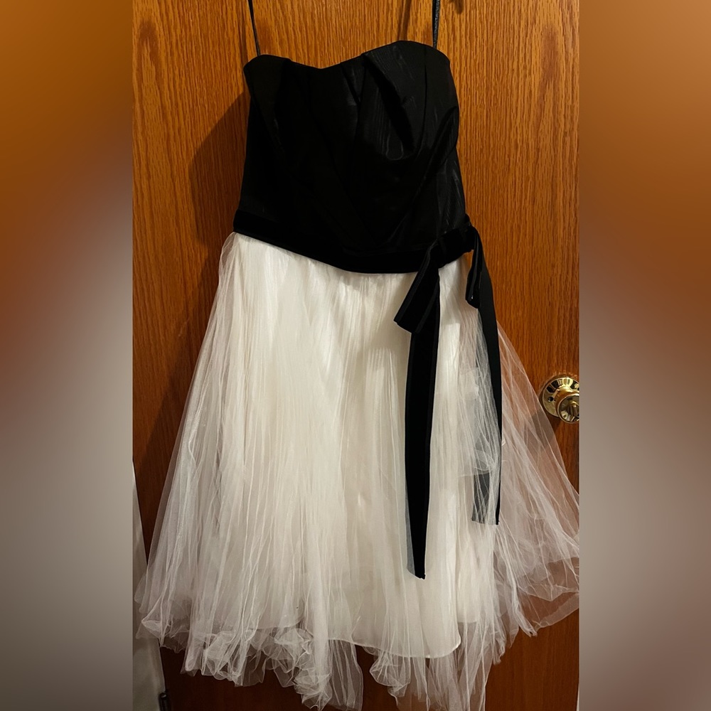 White House Black Market Black and White Tulle Dress